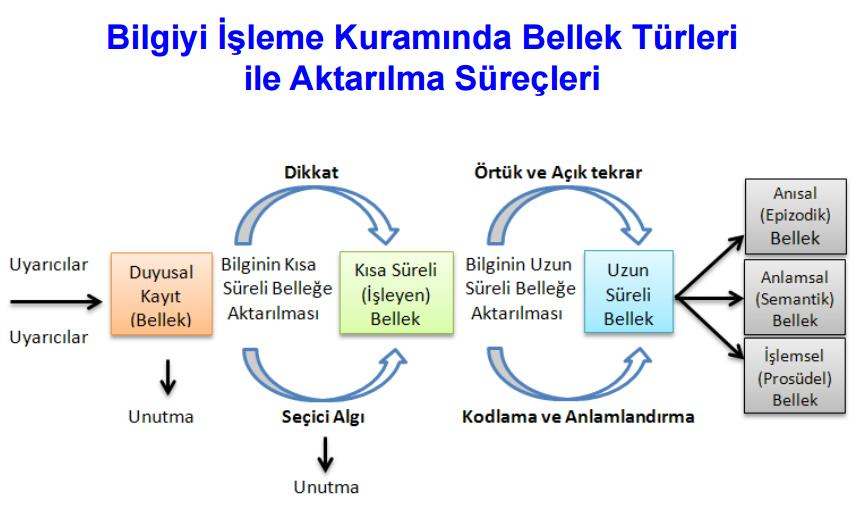 Bilgiyi İşlemenin Öğeleri/Süreçleri Bilgiyi işleme modeli üç temel süreçten oluşmuştur.