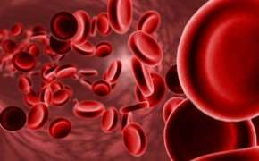Kan hemoglobin(hb)