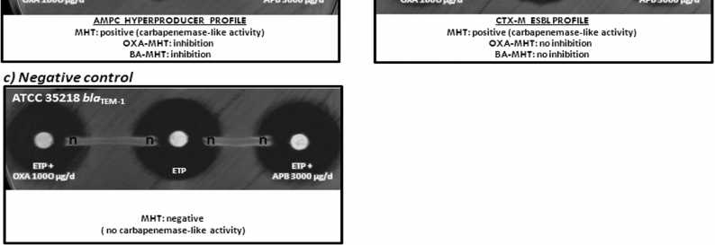 Double modifiye Hodge testi: karbapenem+oksasilin (AmpC beta laktamazları inhibe eder),