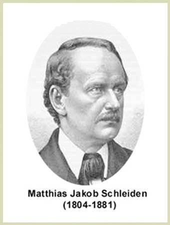 MATTHİAS SCHLEİDEN-THEODORE SCHWANN Matthias SCHLEİDEN bitkilerle ilgili çalışma yapmıştır. Bitkilerin hücrelerden oluştuğunu keşfetmiştir.