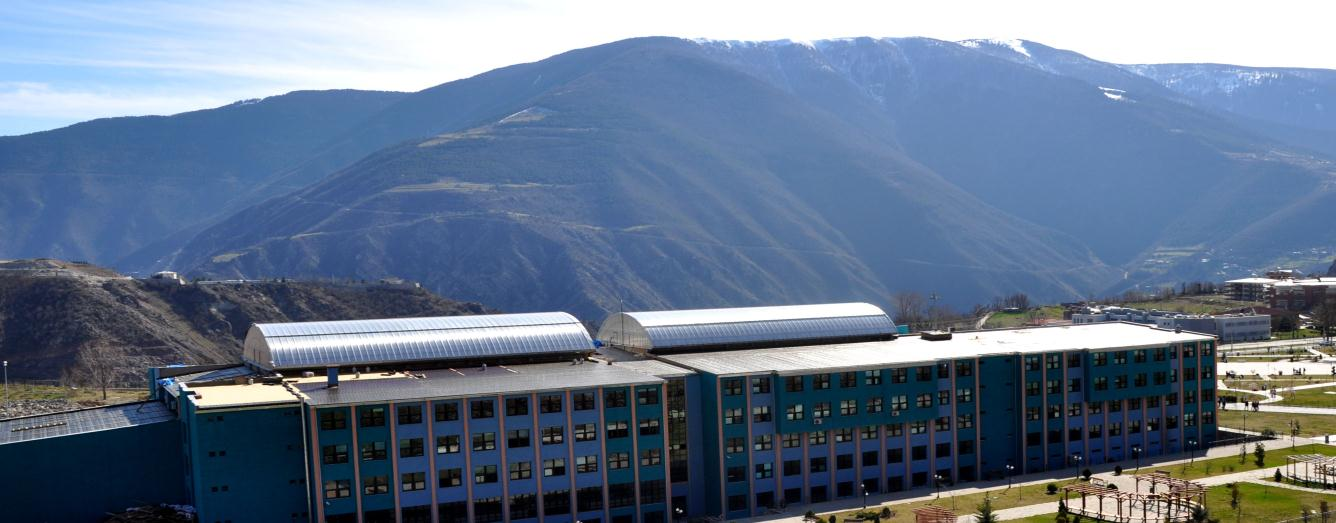 2014 yılında ihale edilen Artvin Çoruh Üniversitesi Borçka Acarlar MYO Çatı Bakım, Onarım ve Yapım İşi ihalesi 710.