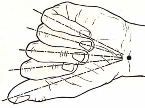 Fakat bu kasların güçsüzlüğüne karşın tüm fleksorlar adduksiyona ilave güç katarlar. Bu nedenle parmaklar büküldükçe birbirlerine yaklaşırlar. Tersine, ekstensorlar da abduksiyona destek verirler.