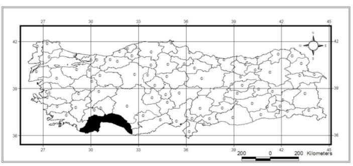 522 Figure 2. Old records from Turkey of Rutpela maculata (Poda, 1761). Figure 3. The distribution in Turkey of Rutpela maculata maculata (Poda, 1761).