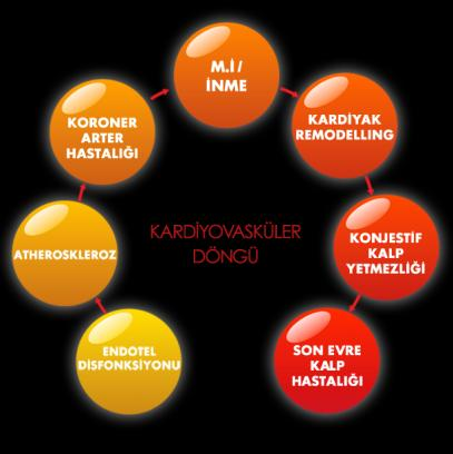 Kardiyovasküler Hastalıklarda Değiştirilebilir Risk Faktörlerine Global Yaklaşım Prof. Dr.