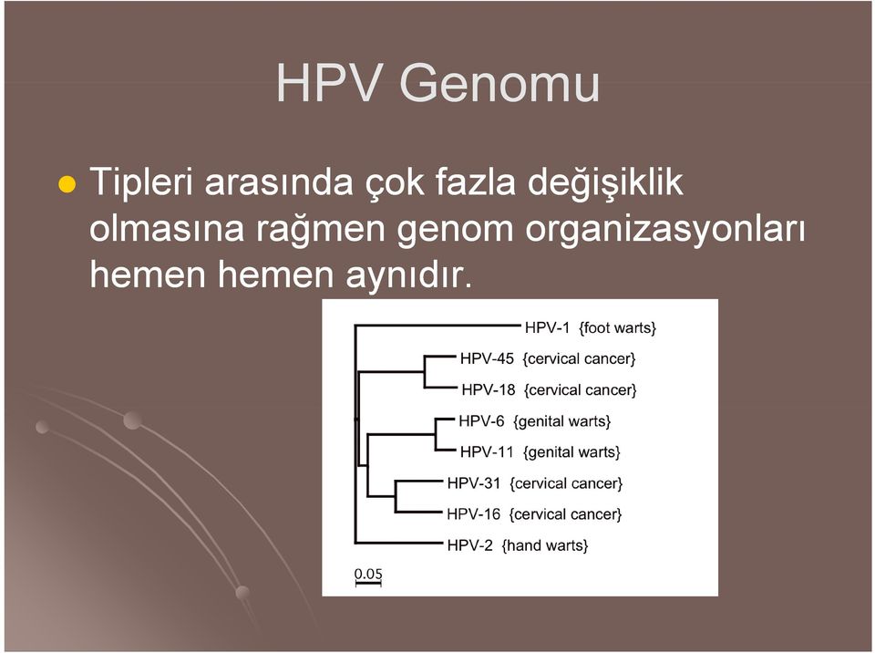 olmasına rağmen ğ genom