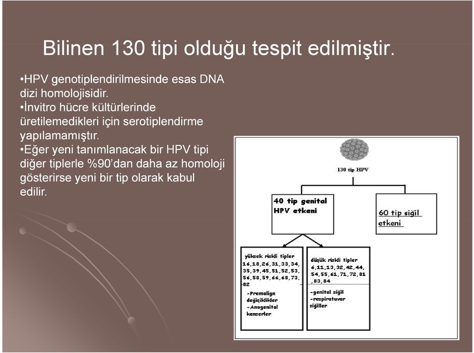 İnvitro hücre kültürlerinde üretilemedikleri için serotiplendirme