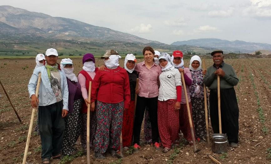 3- Sosyal sorumluluk projeleri kapsamında eğitimler: Pamuk üretiminde çalışan işçilerin çalışma standartlarına yönelik sorunların giderilmesi hedefi ile 2016 yılında İnsana Yakışır İş Prensibi