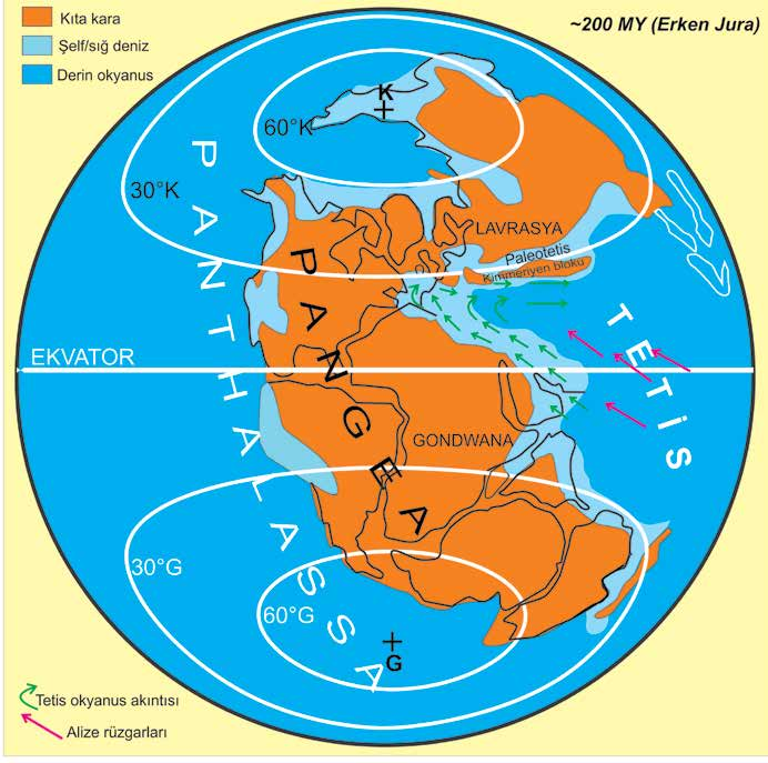Şekil 2: Orta Doğu nun Neo-Tetis in sıcak ekvator suları altında ve Gondwana nın pasif kenarının parçası iken Erken Jura daki (~ 200 MY) Dünya paleocoğrafyası.