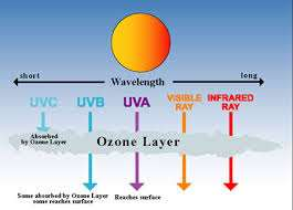 ultraviole & kızıl ötesi ışık Gece görüş kameraları Temassız sıcaklık ölçerler En güçlü