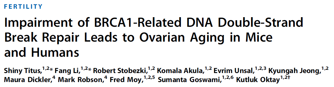 Sci. Transl Med 5,, 172 ra21 (2013) Grubun önceki çalışmalarında BRCA1 geninde germline mutasyonları taşıyan kadınlarda overyan cevabın düşük olduğu, yeni bir çalışmada ise BRCA1 mutasyonu taşıyan