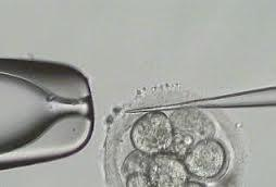 Embriyo Biyopsi Yöntemleri Asit tyrode Zona dissection (mekanik) Lazer Lazer tekniğinin gelişmesiyle embriyonun her aşamasında hücre biyopsisi