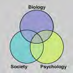Biyopsikososyal yaklaşıma göre, sağlık ve hastalık; Biyolojik Psikolojik Sosyal değişkenlerin