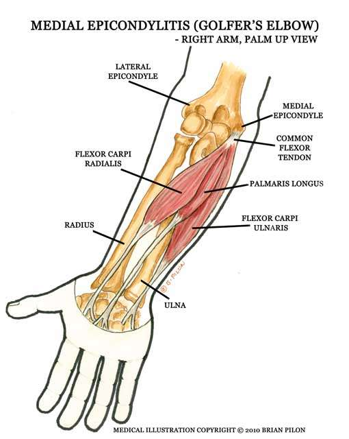 Medial