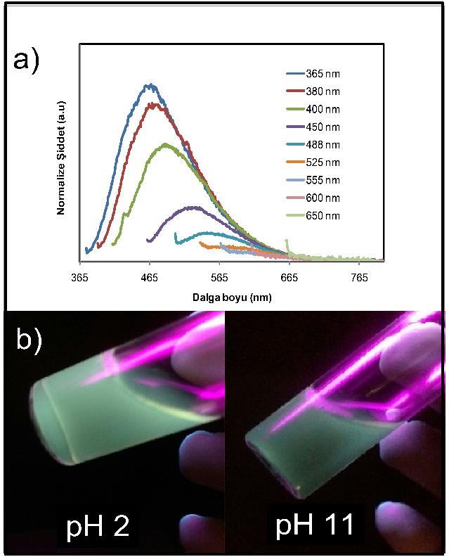 nanoparçacık çözeltisinin 365 nm dalga boyunda uyarıldığında daha yeşilimsi sarı renkte floresans yaydığı gözlenmiştir (Şekil 2b).