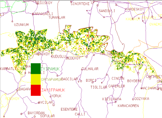 Tarla bazında iyi, orta ve zayıf pamuk şeklinde tanımlanan verim grupları uydu görüntülerindeki sayısal yansıma aralıklarına göre eğitimli (Supervised) olarak sınıflandırılmış ve ilçe bazında, verim