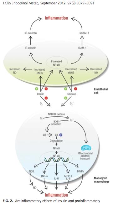 J Clin Endocrinol