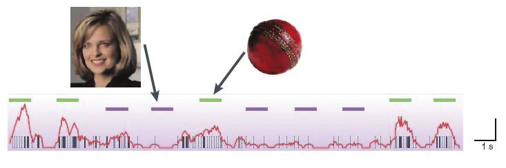 >>> Bilim ve Teknik Nisan 2009 Freud un Buzdağı na Sinirbilimsel Bir Bakış Nature Reviews Neuroscience Psikanalizin kurucusu Sigmund Freud, zihni bir buzdağına benzetmişti.