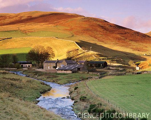 Bir İngiliz çiftçisi evini kendi tarım toprağının üzerine kurar.