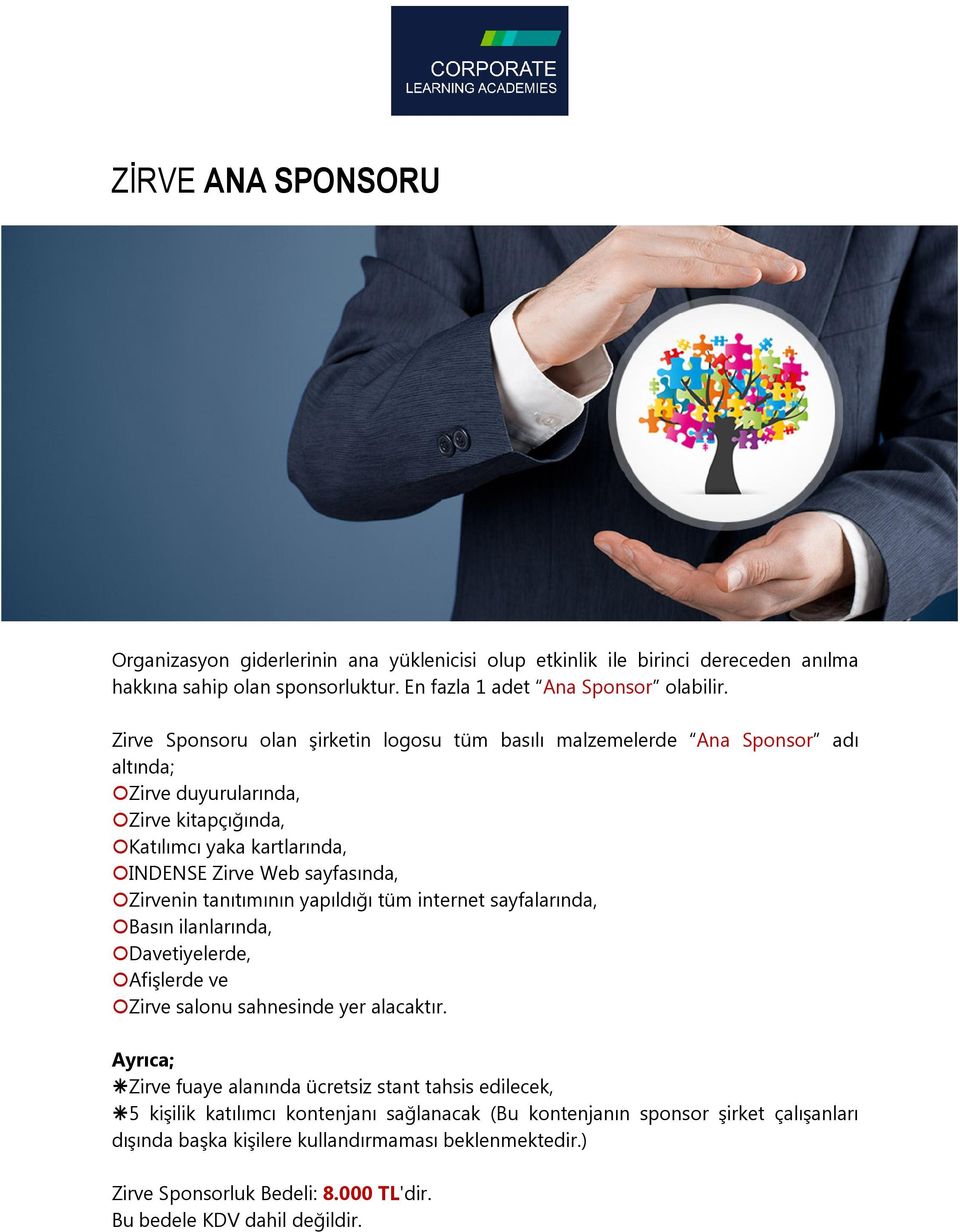 Zirve Sponsoru olan şirketin logosu tüm basılı malzemelerde Ana Sponsor adı altında; Zirveduyurularında, Katılımcıyakakartlarında,