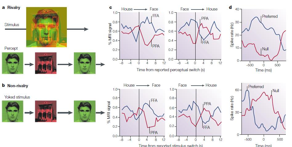 Bilinç? Figüre dair referans: Rees ve grubu, 2002 http://www.nature.