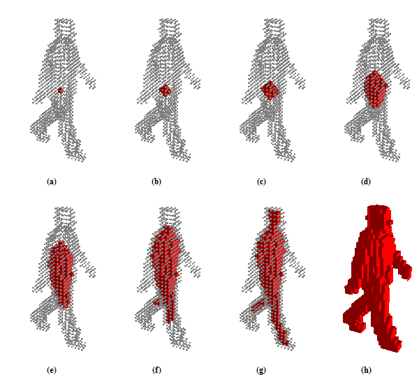 Şekil 2.5 te 3B kabuk görüntüsünün içinin doldurulma süreci izlenebilir. (a) da kabuk görüntüsünü temsil eden gri noktalar ve ortadaki kırmızı tohum voxeli görülmektedir.