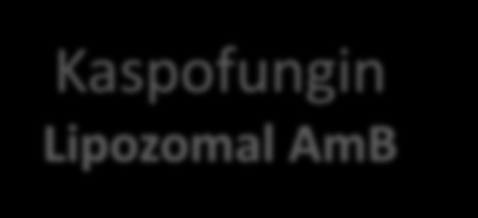 TEDAVİ - ampirik Lipozomal AmB, kaspofungin vorikonazol, itrakonazol Antifungal proflaksi almıyor Enfeksiyon odağı yok Pulmoner lezyon yok maya Kaspofungin Lipozomal AmB