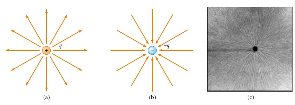 Aşağıda artı yüklü tek bir noktanın elektrik alan çizgileri gösterilmiştir. İyi boyutlu çizimde, yalnızca, nokta yükün bulunduğu düzlemdeki alan gösterilmiştir.