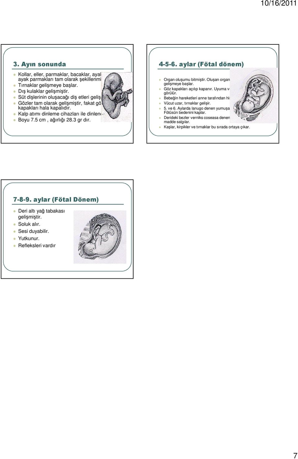 4-5-6. aylar (Fötal dönem) Organ oluşumu bitmiştir. Oluşan organlar büyümeye ve gelişmeye başlar. Göz kapakları açılıp kapanır. Uyuma ve uyanma davranışları görülür.