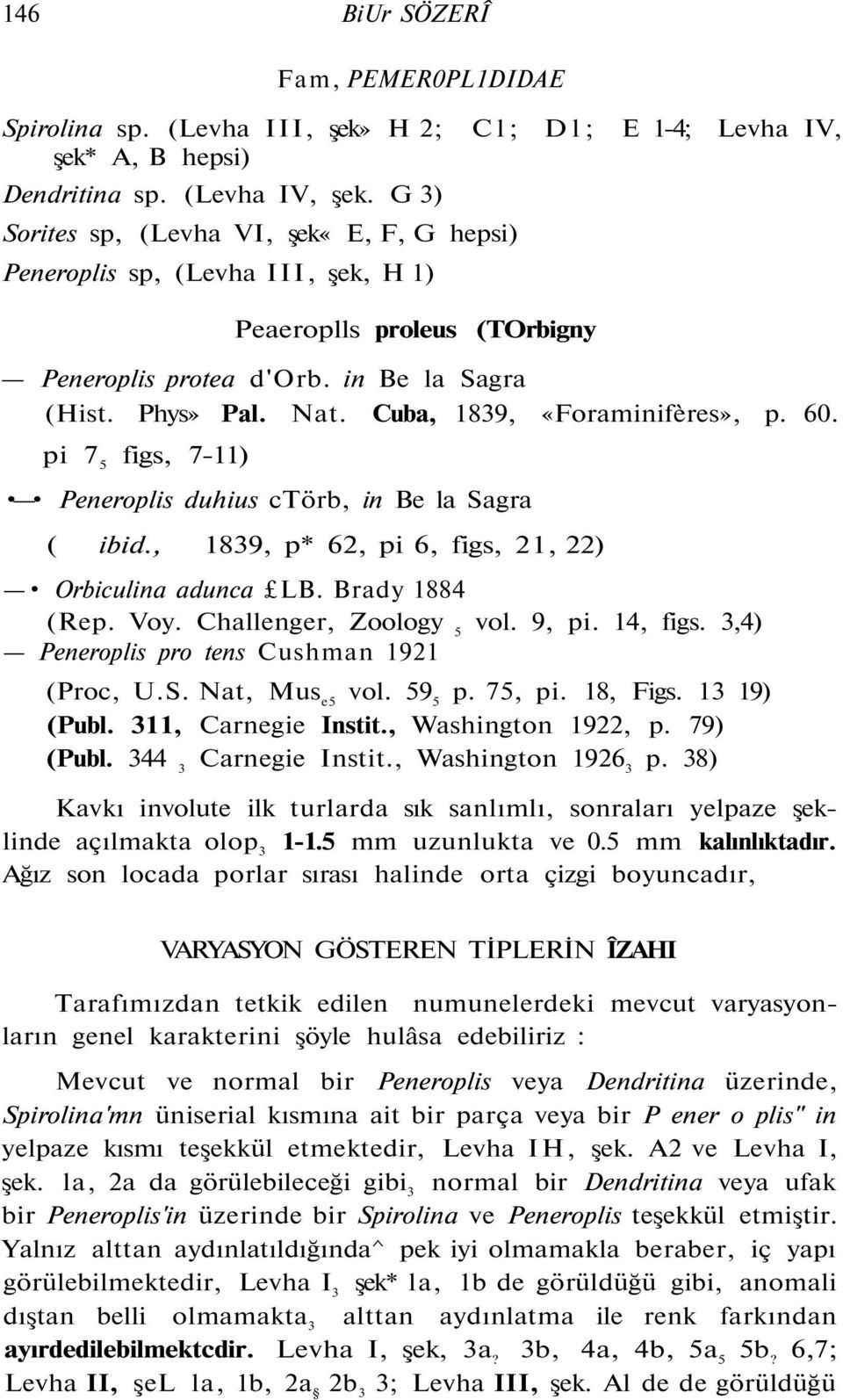 Cuba, 1839, «Foraminifères», p. 60. pi 7 5 figs, 7-11) Peneroplis duhius ctörb, in Be la Sagra ( ibid., 1839, p* 62, pi 6, figs, 21, 22) Orbiculina adunca LB. Brady 1884 (Rep. Voy.
