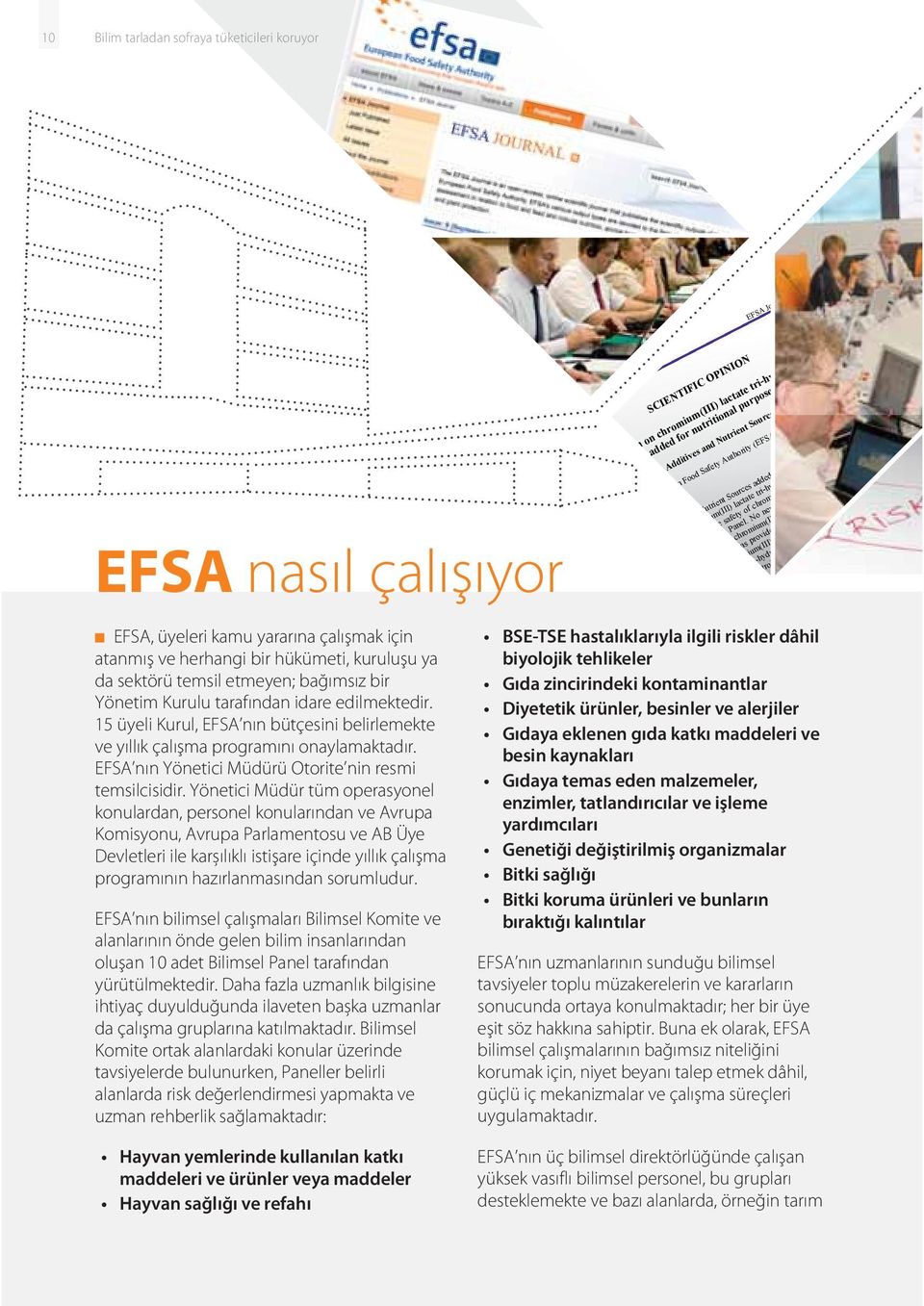 EFSA nın Yönetici Müdürü Otorite nin resmi temsilcisidir.
