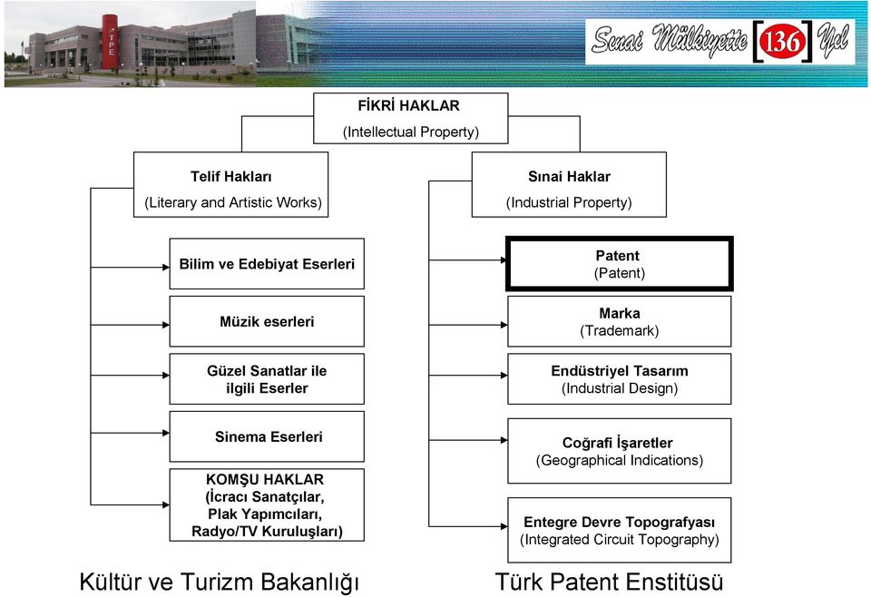 (Industrial Design) Sinema Eserleri KOMU HAKLAR (crac Sanatçlar, Plak Yapmclar, Radyo/TV Kurulu'lar) Kültür ve Turizm