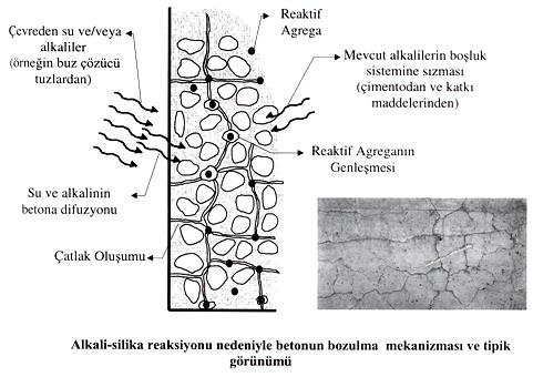 Alkali - silis reaksiyonu kuvarsın reaktif türleri ile çimentodaki alkalilerden türemiş alkali hidroksitler arasındaki reaksiyondur.