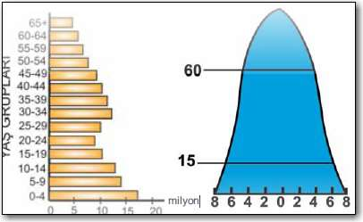 2. Durağan Nüfus Piramidi (Kenarları İçe dönük Üçgen Şeklinde Piramit) Bu piramit doğum oranlarının fazla olduğu ancak çocuk ölümlerinin azalmaya başladığı, sağlık ve beslenme koşullarını