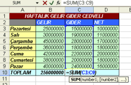 Sonucun yazılacağı C10 hücresini aktif hücre durumuna getirilir. Araç çubuğu üzerindeki otomatik toplama düğmesi tıklanır.