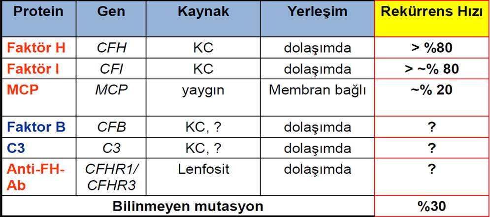 ahüs Hastalarında Renal Greft Kaybı Riski Yüksektir Böbrek transplantasyonu yapılan ahüs hastalarında greft reddi riski yüksektir ahüs ve kronik TMA olan hastalarda greft reddi oranı %80 90 dır 2