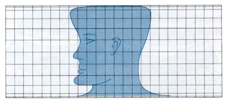 Distorsiyonların Grafik Gösterimi Üste Mollweide Projeksiyonunda çizilmiş insan kafası Marcator Projeksiyonuna dönüştürülürse ortadaki