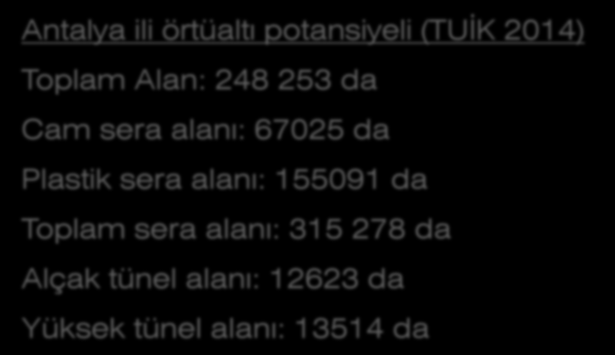 Bölgelerimize Göre Önemli Merkezler Antalya: Gerek sera alanı miktarı, gerekse üretim teknikleri yönünden lider durumdadır.