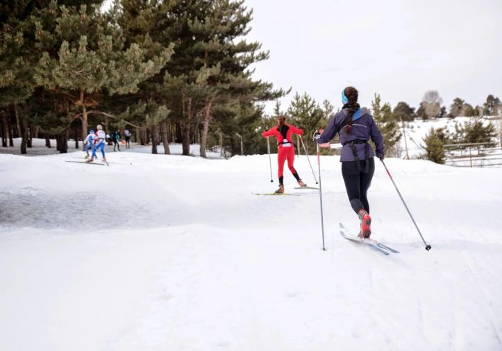 Selçuk SATIROĞLU 0 505 433