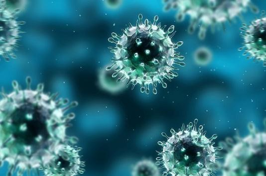 Viral Pnömoniler Gelişmekte olan ülkelerde çocuklarda Gelişmiş ülkelerde yetişkinlerde Yeni respiratuar virüsler Human metapnömovirüs Coronavirüsler NL63 ve HKU1 Human bocavirüs