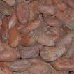 TOZ KAKAO ÜRETİMİ Kakao Üreticisi Ülkelerden gelen Kakao çekirdekleri; kum, taş, tahta vb. gibi yabancı maddeler içermektedir.