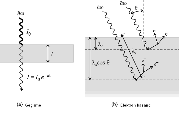 2.ÖNCEKİ ÇALIŞMALAR Şekil 2.4. X-ışını soğurma ölçümlerinde (a) Geçirme kazancı (b) Elektron kazancı T.
