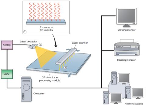 Analog dijital çevrim (ADC) Dijital radyografi yöntemleri CR-Bilgisayarlı radyografi CR DR Fosfor plakalar Doğrudan dönüştürme Dolaylı dönüştürme Amorf selenyum Sintilasyon TFT Sintilasyon CCD/CMOS