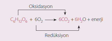 OKSĠJENLĠ SOLUNUM Glikoz, oksijenli solunumda CO2 ve H2O ya kadar parçalanır. Bu sırada glikoz elektron kaybederek okside olurken oksijen de elektron alarak indirgenir.