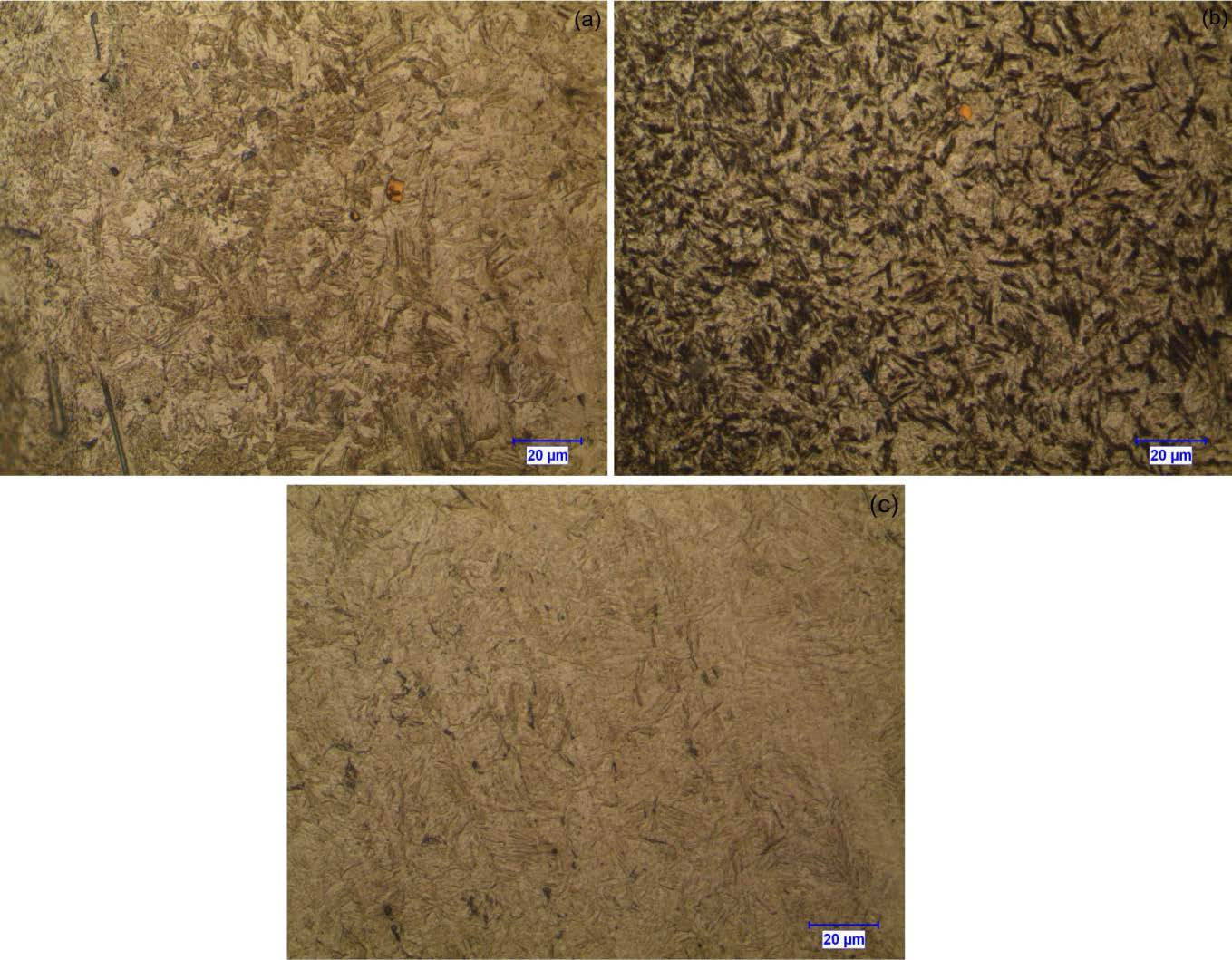 Şekil 4. Farklı oranlarda bor içeren a)borsuz, b)17 ppm, c) 32 ppm numunelerin buzlu suda soğutma sonrası mikroyapı fotoğrafları.