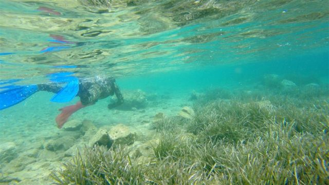 ÖĞRENCİLERE ÇEVRE EĞİTİMİ Etkinliğe katılan öğrencilere çöplerin doğaya verdiği zararlar ile ilgili bilgiler veren Bodrum Belediyesi Çevre Mühendisi Ahmet Acar, Toplanan bu atık maddeler cinslerine