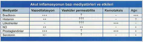 İnflamasyon İnflamasyon, zedelenme, fiziksel, kimyasal ve biyolojik ajanların yol açtıkları anormal uyarı nedeniyle, etkilenmiş kan damarlarında ve çevre dokularda oluşan sitolojik ve histolojik