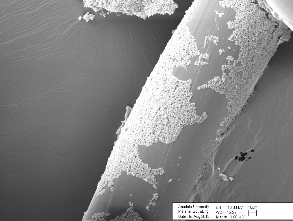 Resim 2.2. ABT ile kaplanmış polipropilen greftin görüntüsü (Gümüş kaplamalar görülmekte, taneciklerin boyutu 200 nanometre boyutunda) 3.3. Kullanılan Bakteri Suşu Bu çalışmada Metisilin Rezistans S.