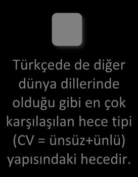 Ancak bu sayıdan hareketle Standart Türkiye Türkçesinde 21 standart ünsüz vardır demek mümkün değildir.