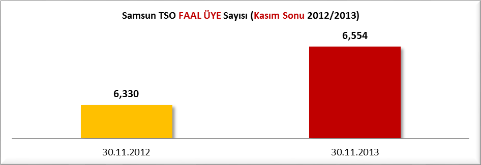 2013 yılı Kasım sonu itibariyle firmaların 979 adedi Anonim Şirket, 51 adedi kolektif şirket, 1 adedi komandit, 104 adedi kooperatif, 3,535 adedi Limited şirket, 1,858 adedi gerçek kişi ticari