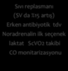 Sepsis Sıvı replasmanı (SV da %15 artış) Erken antibiyotik tdv Noradrenalin ilk seçenek laktat ScVO2 takibi CO monitarizasyonu Ciddi Hipotansiyona yaklaşım (Sepsis)